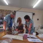 Willowherb Workshop - Shapwick (MHE)
