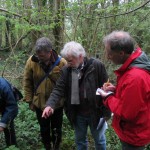 Admiring Herb Paris (PRG, CML, GL) - Prior's Wood (ITS)