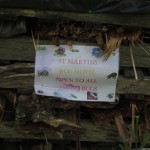 Bug Hotel - West Coker (ITS)