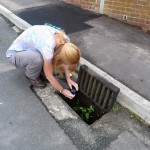Down the Drain - Ilminster (SJP)