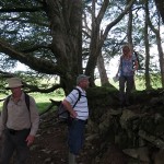 Examining Walls of Sheepfold -Exmoor (ITS)
