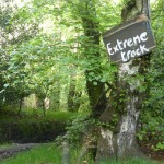 Extreme Botany - Blackdowns (HJC)