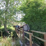 Footbridge over the River Isle - Ilminster (ITS)