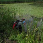 Golf Course Pond (GL) - Sandford (ITS)