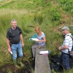 Madacombe Stream - Exmoor (GL)
