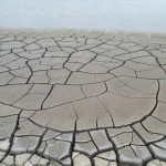 Mud - Steart Marshes (RFG)