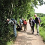 SRPG at Cleeve Hill, Watchet (GL)