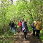 SRPG&BNS in Prior's Wood (DH)