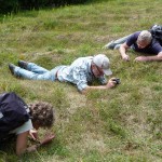 Searching for Dodder - Cleeve Hill, Watchet (SJP)