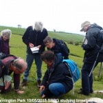 Studying Limestone Outcrop - Cannington Park (MHE)