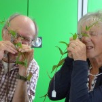 Willowherb Workshop 2 - Shapwick (SJP)