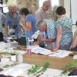 Willowherb Workshop - Shapwick (GL)