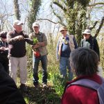 Dandelion Workshop at Ash Priors (RFitzG)