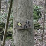 Falling Down Sign - Burington (CHS)