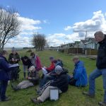 John Richards Explaining Taraxacum degelii at Dunster Beach (HJC)