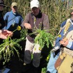 John Richards at Ash Priors (RFitzG)