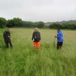 Durborough Meadow Team (RFitzG)