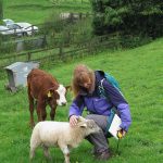 Making Friends - Durborogh (ITS)