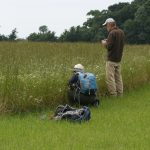 Smelling the Stinking Chamomile - Fairfield Estate (CHS)