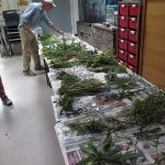 daisy-workshop-1-its