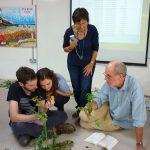 daisy-workshop-2-chs