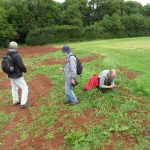 surveying-a-field-margin-waterrow-rfg