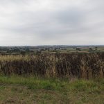 view-from-dancing-hill-north-petherton-its