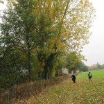 surveying-at-barford-park-gl